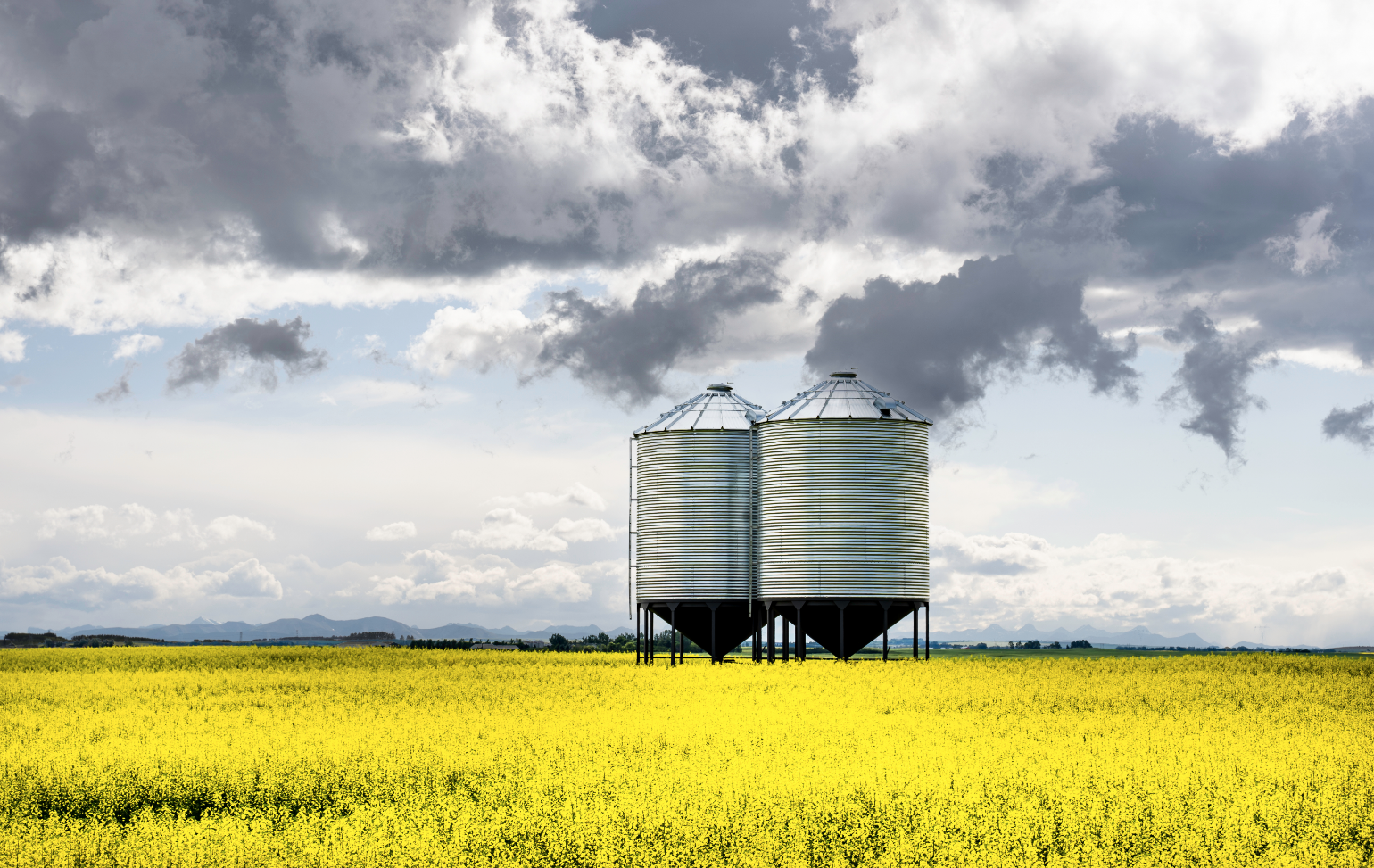 Seed Oils and Bad Science The American Conservative