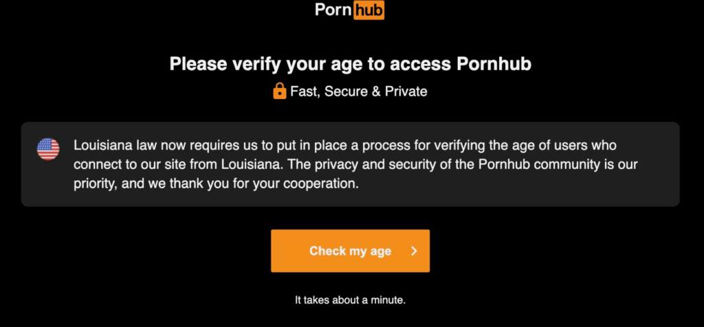 Louisiana's Great New Porn Law - The American Conservative