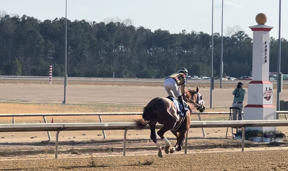 Racing in the Old Dominion - The American Conservative